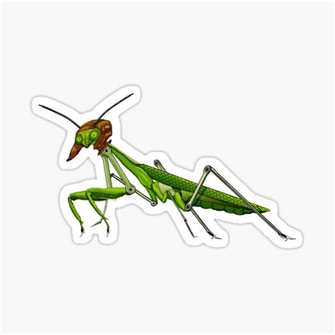 Steampunk Praying Mantis Sticker For Sale By Rlnielsen4 Redbubble