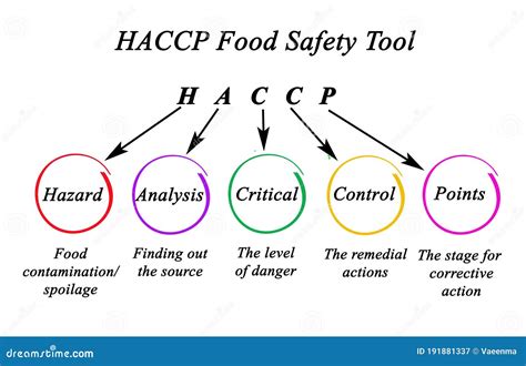 HACCP Food Safety Tool Stock Illustration Illustration Of Haccpfood