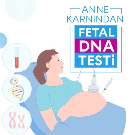 Fetal Dna Testi Nedir Nasıl Yapılır Doç Dr Nermin Köşüş