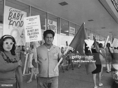 california grape boycott stock  high res pictures  images