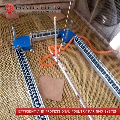 automatic poultry chain feeder  equipment feeding system poultry