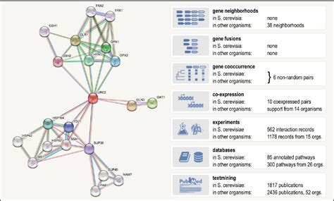 Figure From String V Proteinprotein Association Networks With