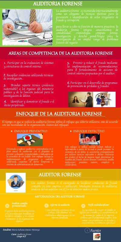 Infografía Auditoria forense