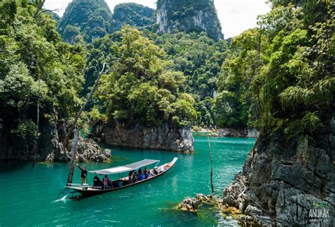 Khao Sok National Park Fly Green