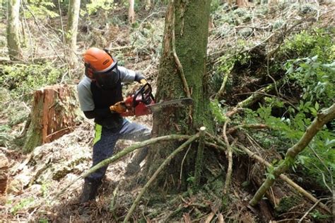 【大川村】人口400人の村で林業の担い手を目指す！／地域おこし協力隊を大募集！