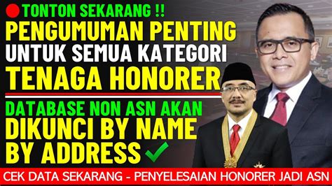 PENGUMUMAN PENTING UNTUK SEMUA HONORER PENGUNCIAN DATABASE NON ASN