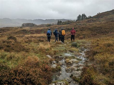 Path Bog Or Stream Near Hafod Owen David Medcalf Cc By Sa 2 0