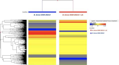 Unsupervised Hierarchical Cluster Analysis Hca Of The Metabolite