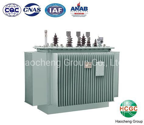 S9 Oil Immersed Transformer 3 Phase 6kv 10kv 11kv 1600kVA Oil Immersed