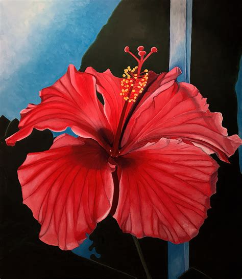 Hibiscus Acrylic Paintings