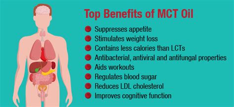 How Can You Find The Best Mct Oil For The Keto Diet