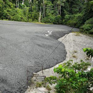 Tabin Wildlife Reserve The Best Borneo Safari Experience