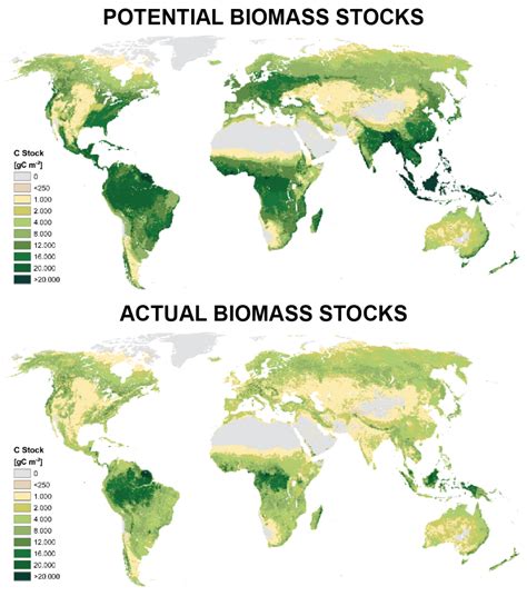 How Much Carbon Does The Planets Vegetation Hold Future Earth