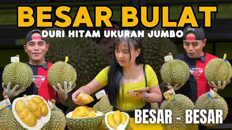 BESAR BULAT MANTAP DURIAN DURI HITAM UKURAN JUMBO Durian