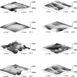 Representative Three Dimensional AFM Topography Images 15 3 15 M M Of