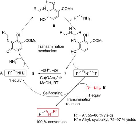 Aerobic Catalytic Systems Inspired By Copper Amine Oxidases