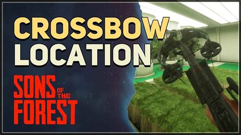 Crossbow Location Sons Of The Forest Youtube