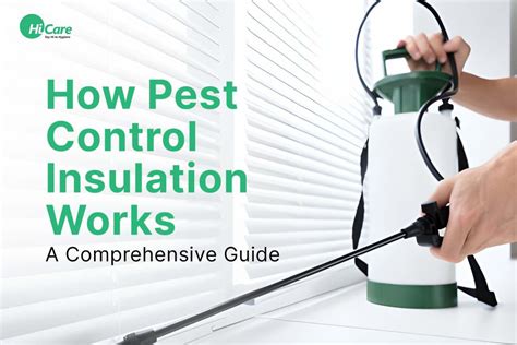 Best Guidance On Pest Control Insulation Hicare