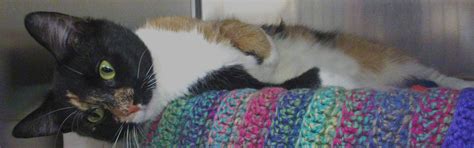 Home Montgomery County Spca