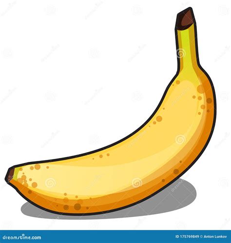 Ripe Yellow Banana Isolated On White Background Vector Cartoon Close