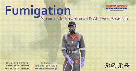 Fumigation Services Pakistan Pest Control Rats Control Termite