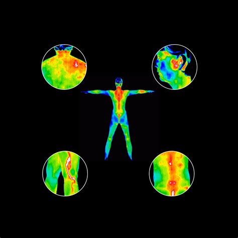 Thermography Body