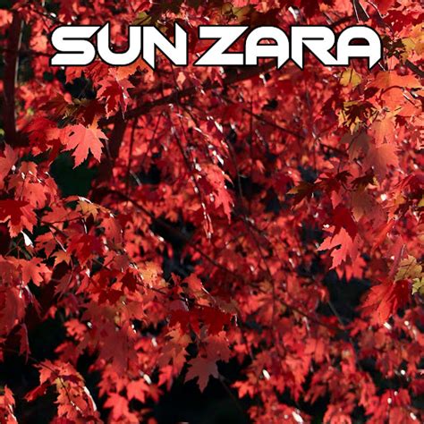 Sun Zara Youtube Music