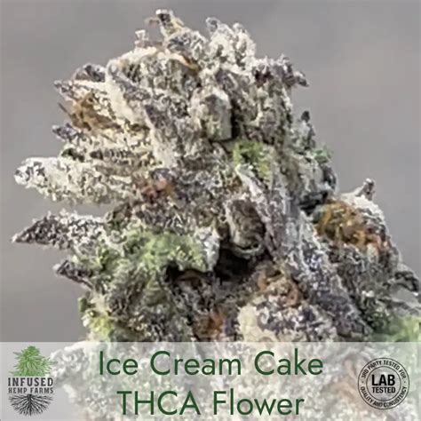 Ice Cream Cakes Thca Flower Indoor Grown Best Thca Bud