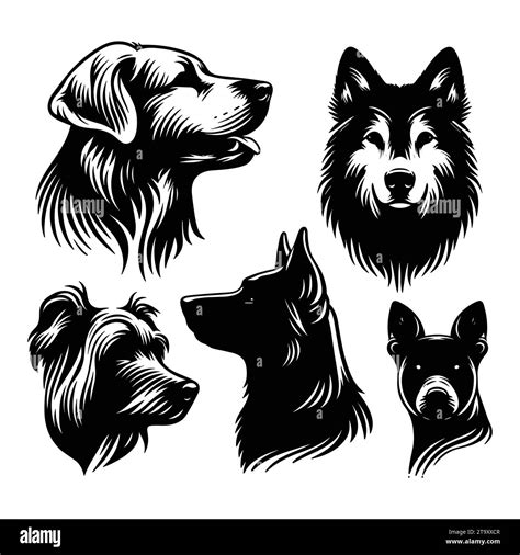 Set Of Dog Silhouettes Isolated On A White Background Vector