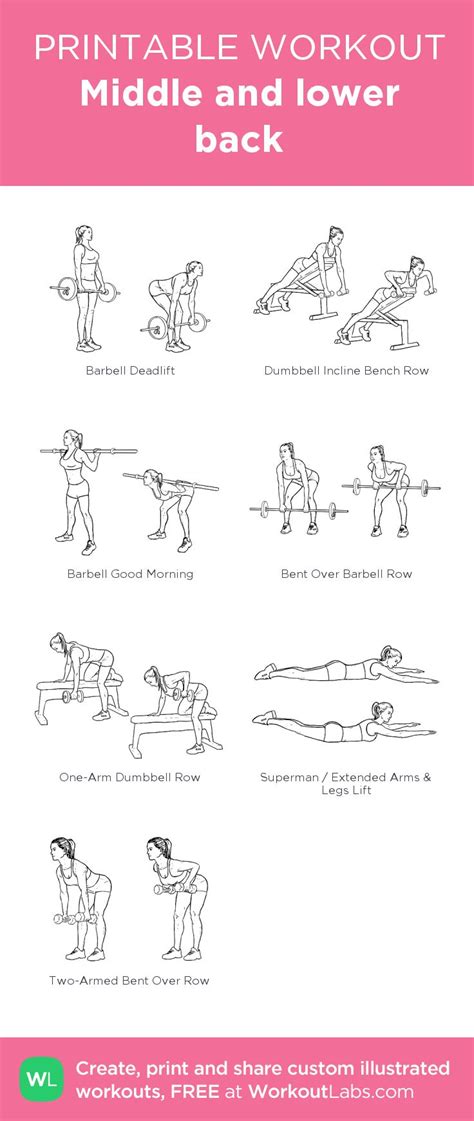 Middle And Lower Back My Visual Workout Created At WorkoutLabs