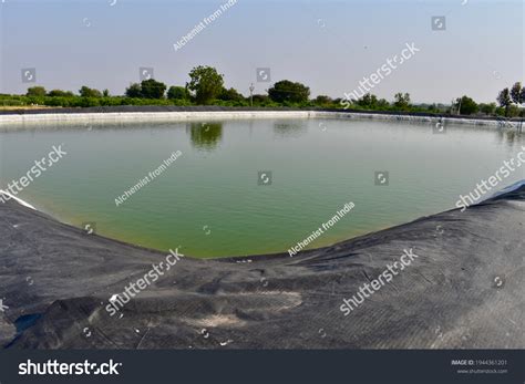 4,126 Artificial Pond Fish Images, Stock Photos, 3D objects, & Vectors ...