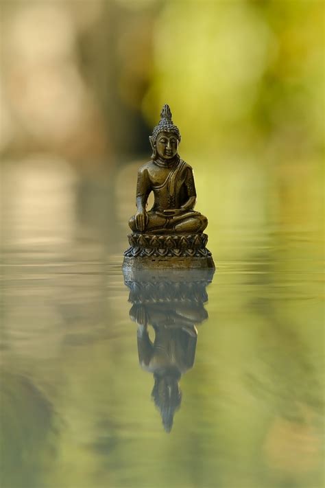 Buddha Statue Water Free Photo On Pixabay