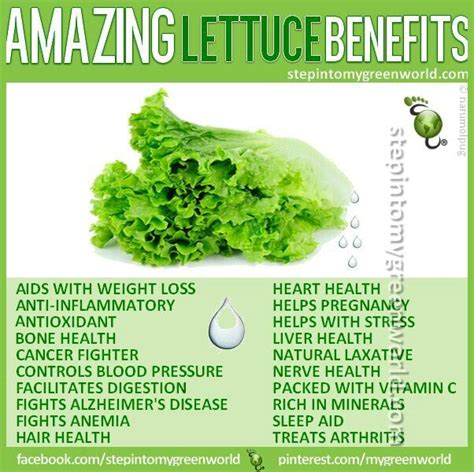 Pinterest | Coconut health benefits, Lettuce benefits, Health