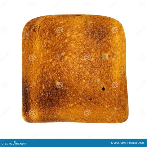 Bread Toasts Isolated Toasted Sandwich Square Slices Loaf Pieces For