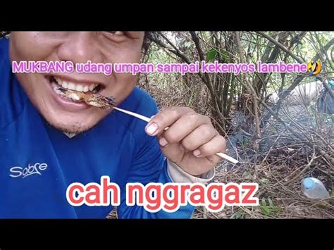 Mancing Di Sungai Sambil Mukbang Udang Umpan Bareng Kawan Youtube