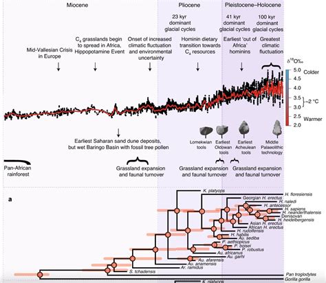 Evolutionary Anthropology | Thomas A. Püschel