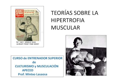 PDF TEORÍAS SOBRE LA HIPERTROFIA MUSCULAR muscular strength