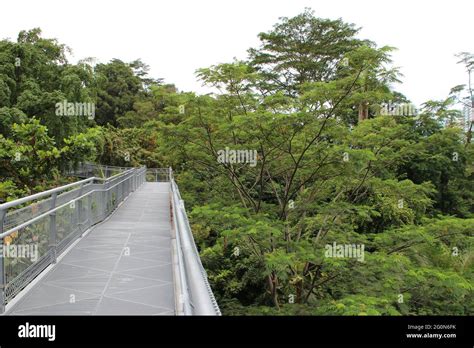 Telok Blangah Hill Park In Singapore Stock Photo Alamy