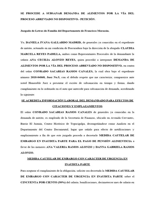 Se Procede A SubsanaciÓn Demanda De Alimentos Pdf Demanda Judicial