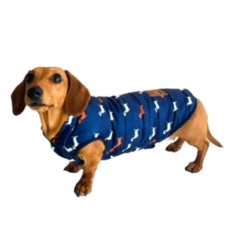 10 Best Dachshund Winter Coats! - Sweet Daisy Dachshund