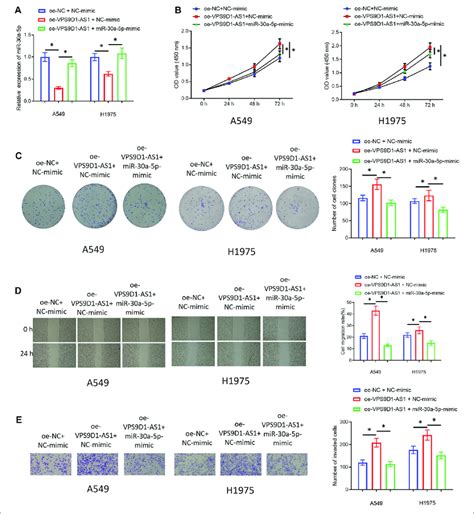 Mirna 30a 5p Restores The Effect Of Vps9d1 On Promoting Cell