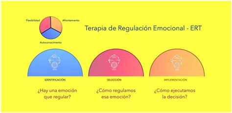 Cu L Es El Objetivo De La Terapia De Regulaci N Emocional Sdemocional