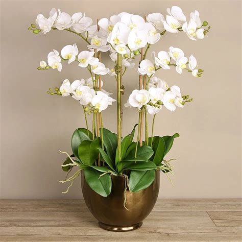 Big Tall Artificial White Orchids Silk Flowers In A Ceramic Etsy In