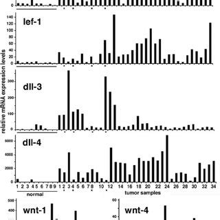 Hallmarks Of Oncogenic Transformation In Wnt Hmecs A Expression Of