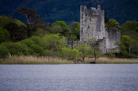 90+ Castillo De Ross Fotografías de stock, fotos e imágenes libres de derechos - iStock