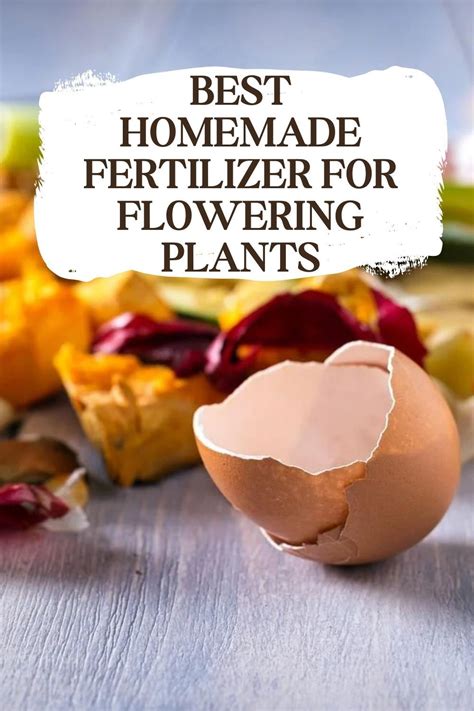 Ultimate Guide To The Best Homemade Fertilizer For Flowering Plants