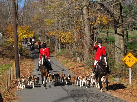 Watch Traditional Fox Hunting Thrives In Southeast Pennsylvania Too