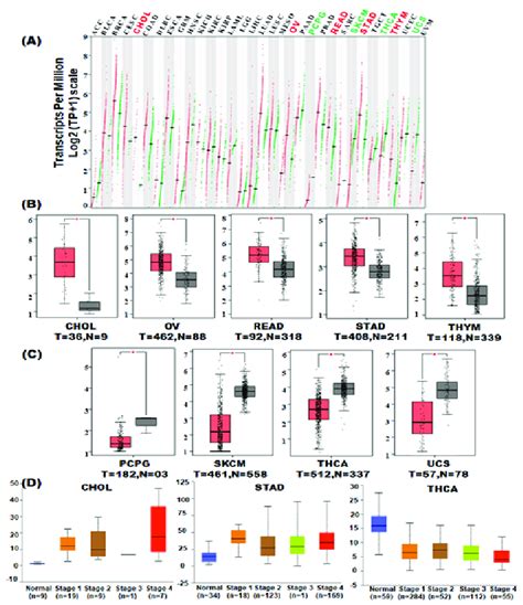 Tc N Gene Expression In Pan Cancer Tcga Rna Seq Data Were Normalized