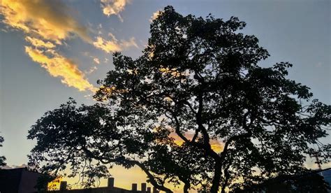 Reinaldo Spitaletta On Twitter El Cielo Se Prendi Esta Tarde En