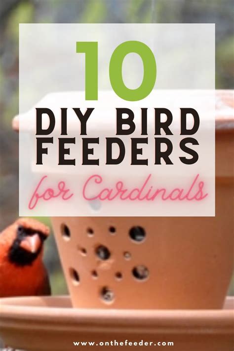 DIY Bird Feeders For Cardinals They Ll Actually Use Diy Bird Feeder